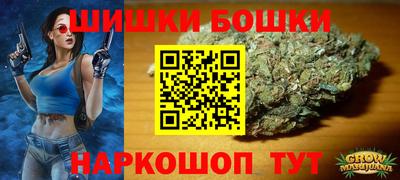 прущие крисы Новодвинск